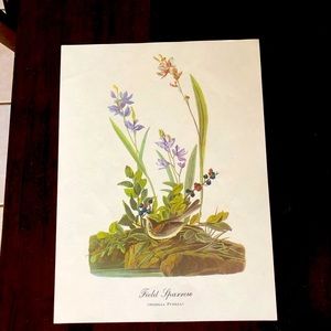 VintageAudobon Print Field Sparrow 12”x9"